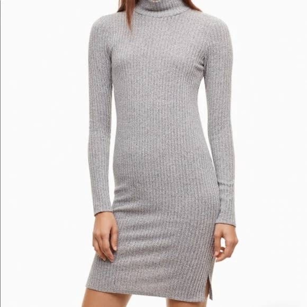 Wilfred Free turtle neck dress
